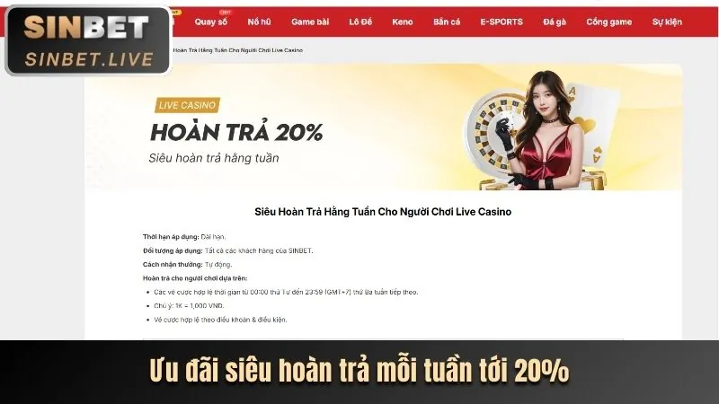 Giao diện thân thiện của 8KBE trên thiết bị di động